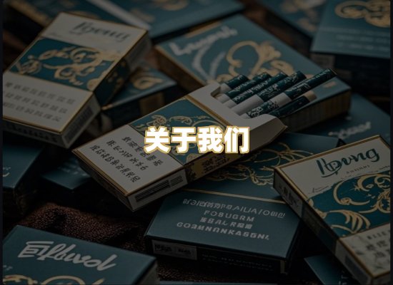 关于我们